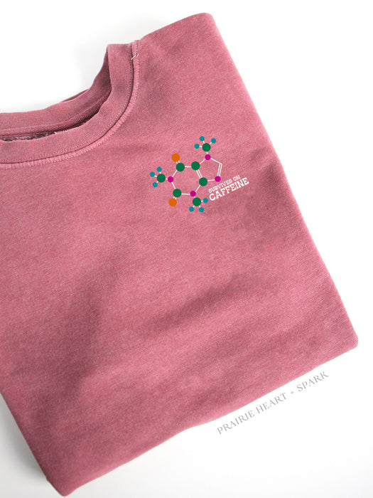 Caffeine Molecule on a Pink sweatshirt
